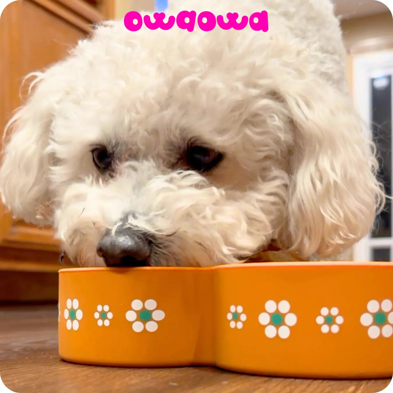 Owa Owa Heart-Shaped Slow Feeder - Premium Food-Grade Silicone Feeding Bowl for Dogs & Cats - Biologically Balanced Diet & Optional Superfoods - Dishwasher-Safe & Easy to Clean - Mexican Barro-Inspired Rim Design