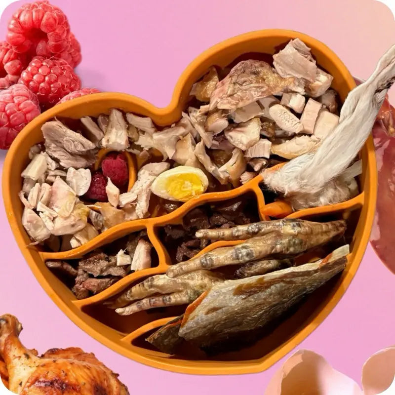 Owa Owa Heart-Shaped Slow Feeder - Premium Food-Grade Silicone Feeding Bowl for Dogs & Cats - Biologically Balanced Diet & Optional Superfoods - Dishwasher-Safe & Easy to Clean - Mexican Barro-Inspired Rim Design